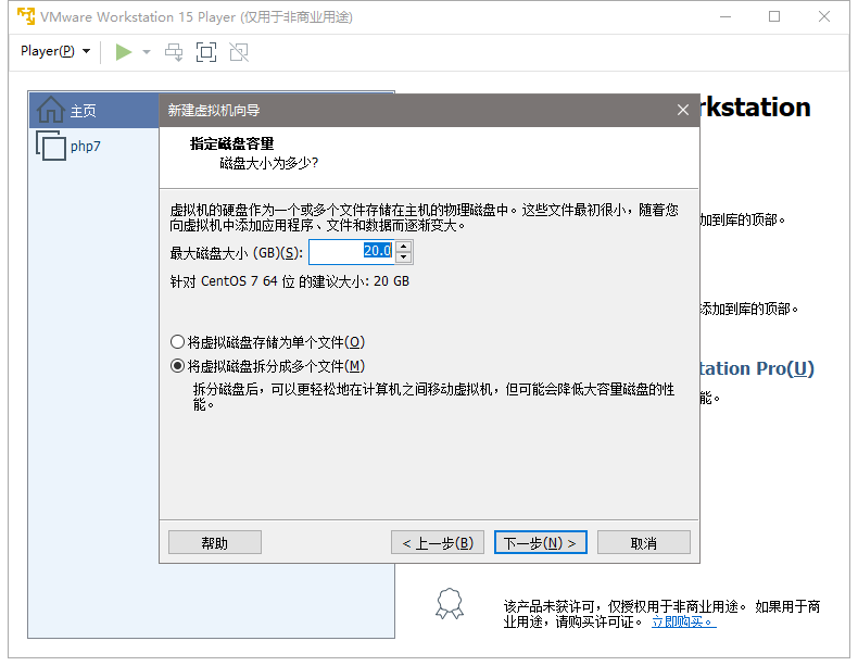 disk_size
